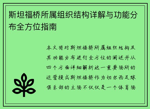 斯坦福桥所属组织结构详解与功能分布全方位指南