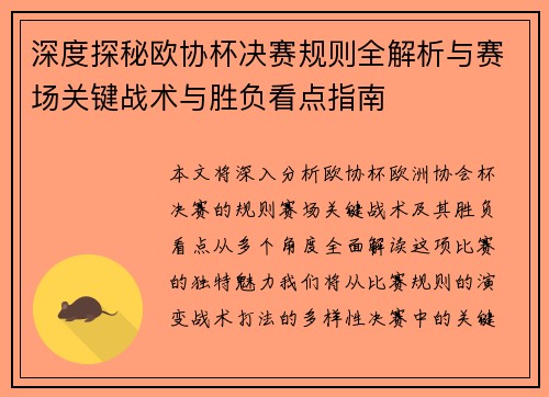 深度探秘欧协杯决赛规则全解析与赛场关键战术与胜负看点指南